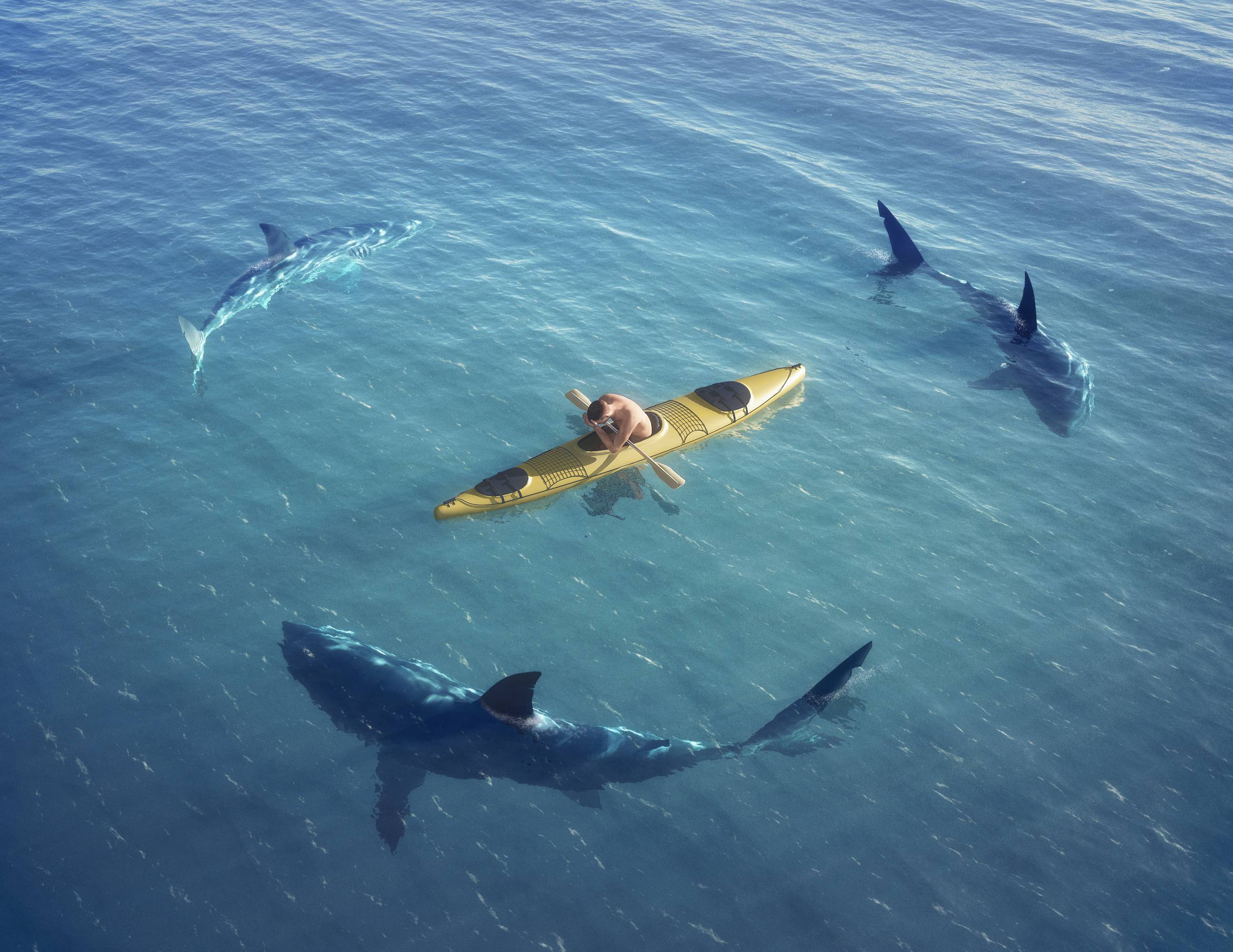 sharks-circling-canoe.jpg