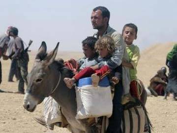 Yazidis_donkey_AFP_360_1.jpg