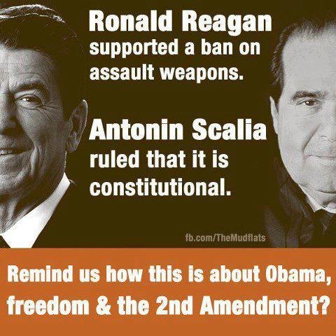 Reagan-Scalia-view-on-assault-weapons.jpg