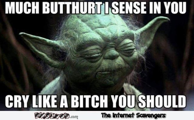 11-much-butthurt-I-sense-in-you-Yoda-meme.jpg