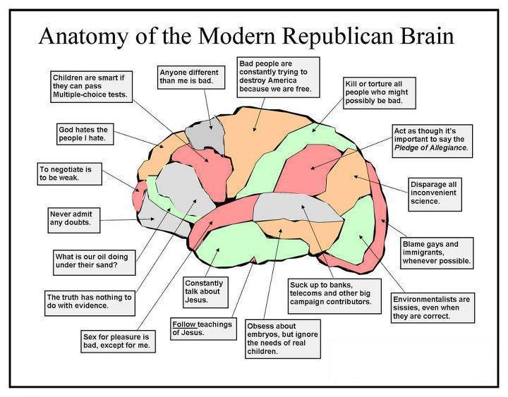 republican-brain-diagram.jpg