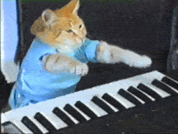 Keyboard-Cat-Animated-GIF.gif
