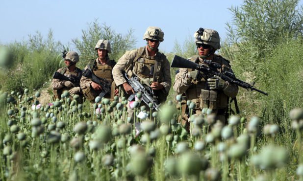 US-troops-opium-field-Afghanistan.jpg