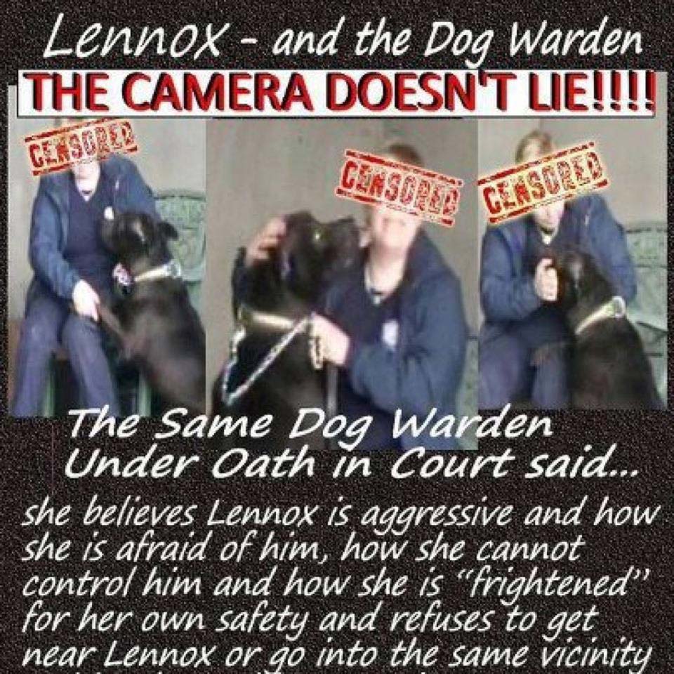 Lennox-Dog-Warden.jpg