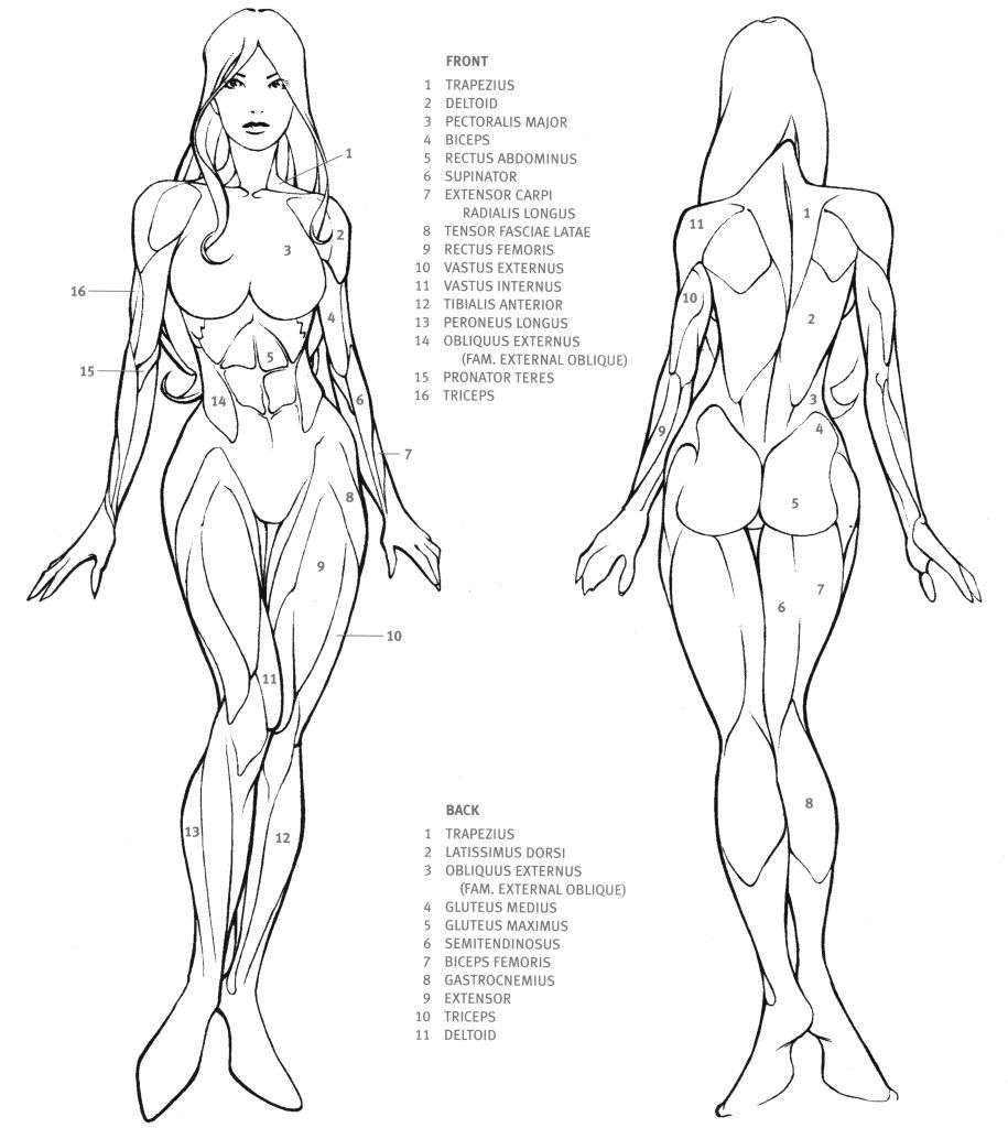 anatomy-cyborg-jpg.162065