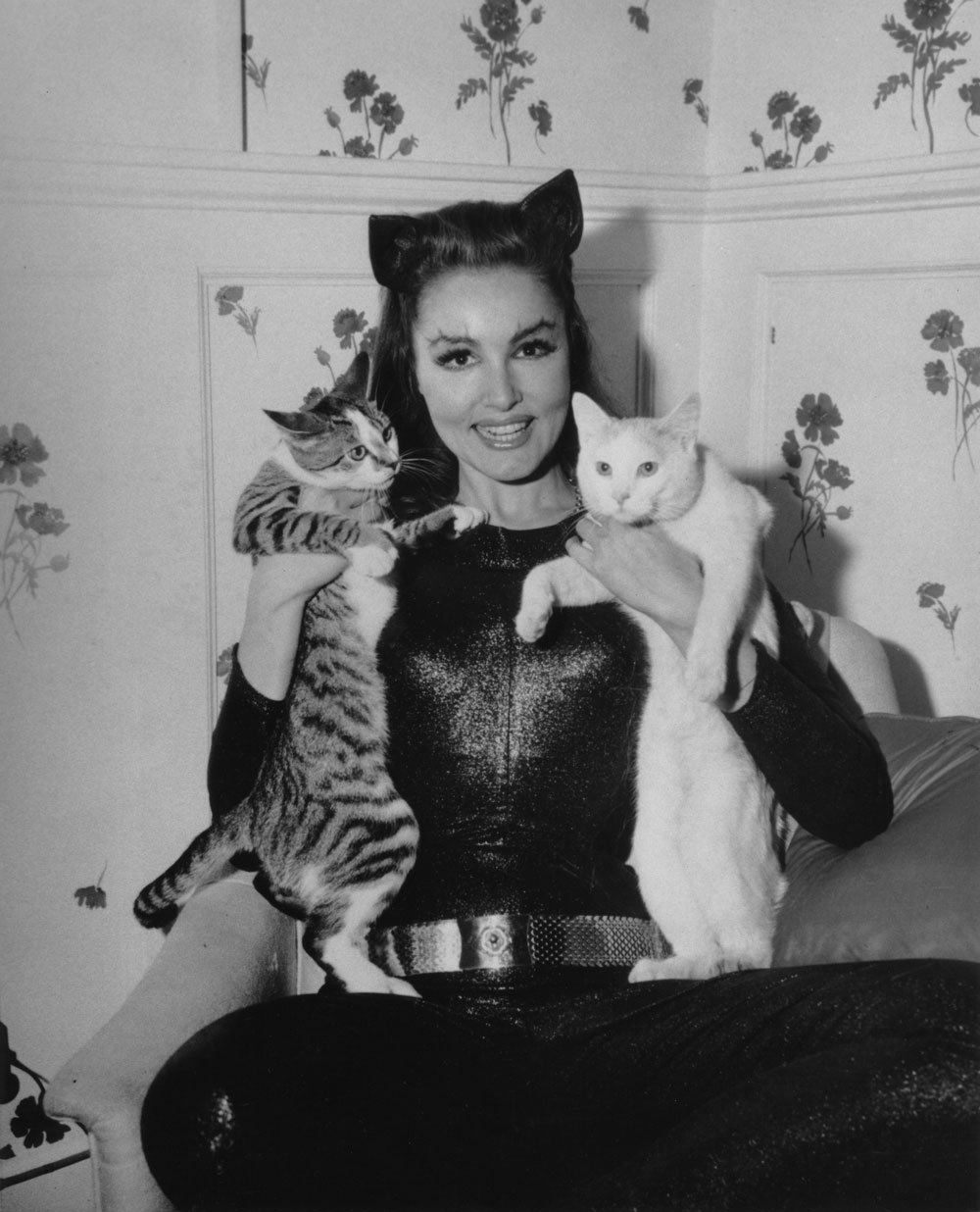 Julie-with-cats.jpg