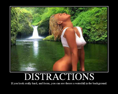 distractions.png%3Fw%3D390%26h%3D520%26h%3D312