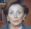 http://lonelysandpiper.files.wordpress.com/2008/04/pelosi1.jpg
