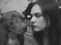 00001.gif