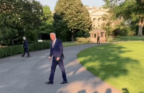 01dfgfgh.gif