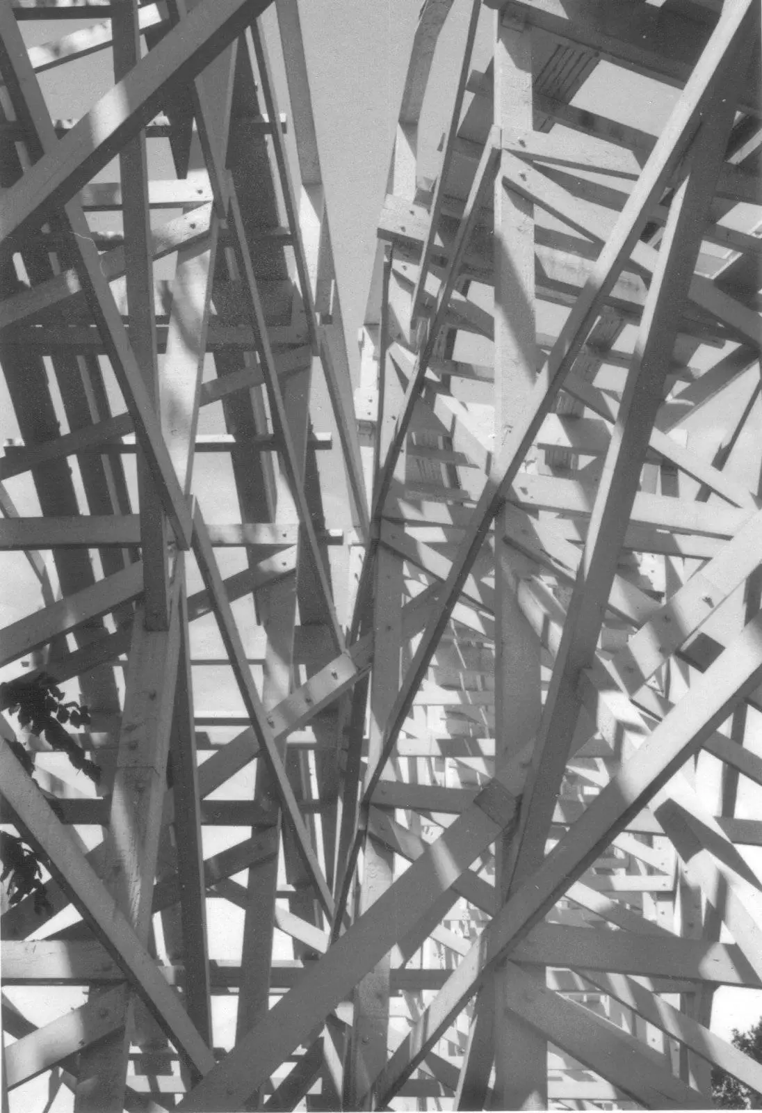 04-12-2009 04;55;02AM.webp