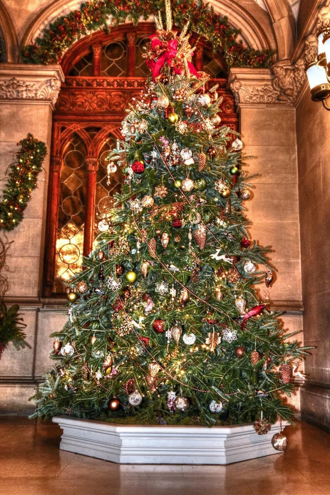 04_WorldsMostBeautifulXmastrees_BaltimoreAshevilleNorthCarolina_dreamstime_xxl_62009873.webp