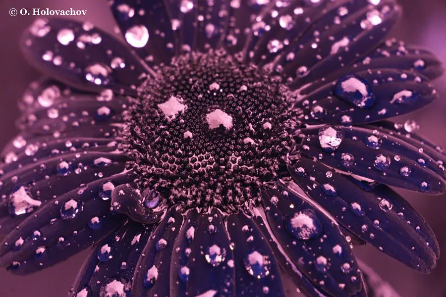 06.webp
