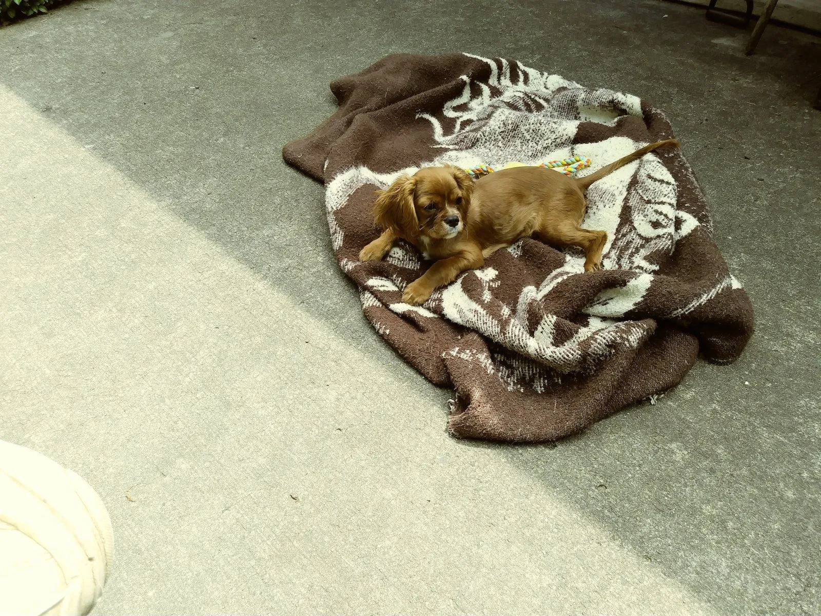 0614201116_Film2.webp