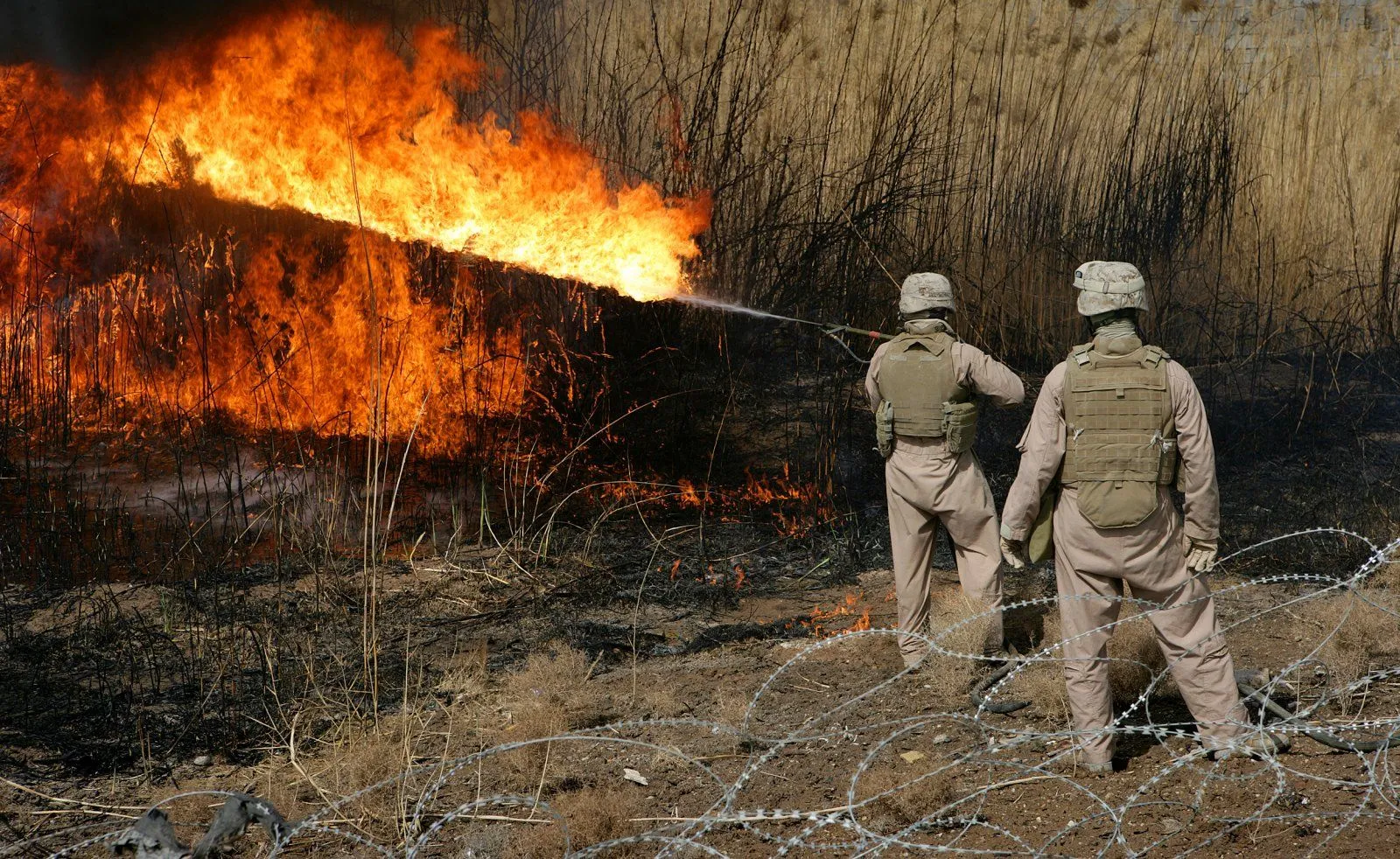 080226-M-6770H-008_-_Marines_with_Combat_Logistics_Battalion_1_use_a_flamethrower_to_clear_ar...webp