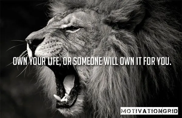 0e1964c1026a25a8d25f68c453f76685.webp