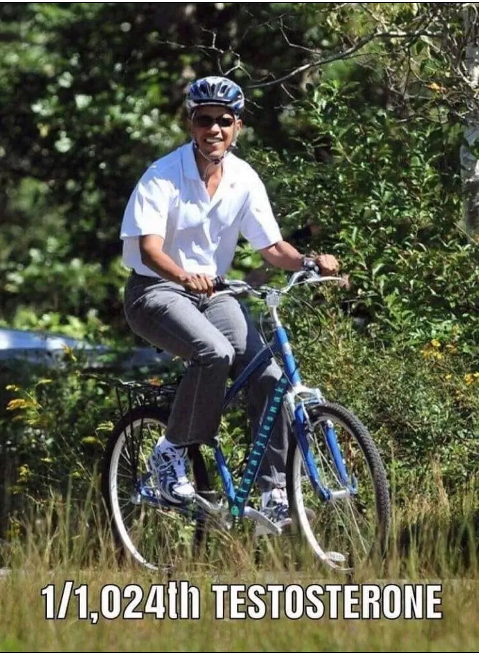 1:1024 Testosterone.webp