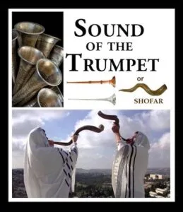 1-sound-of-shofar-259x300.webp