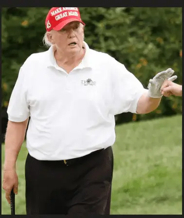 1 trump goofball too.webp