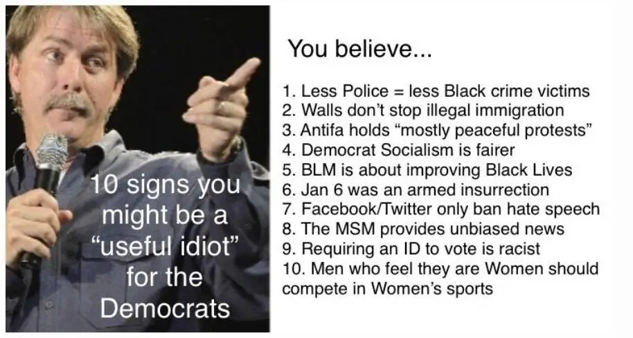 10 Signs you might be useful idiot.webp