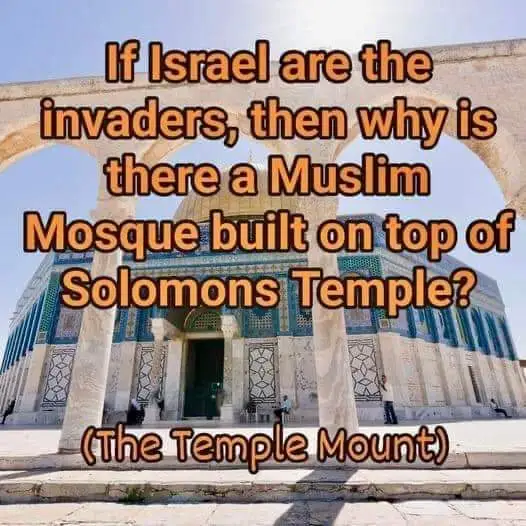 1000006331-jpg.1064446