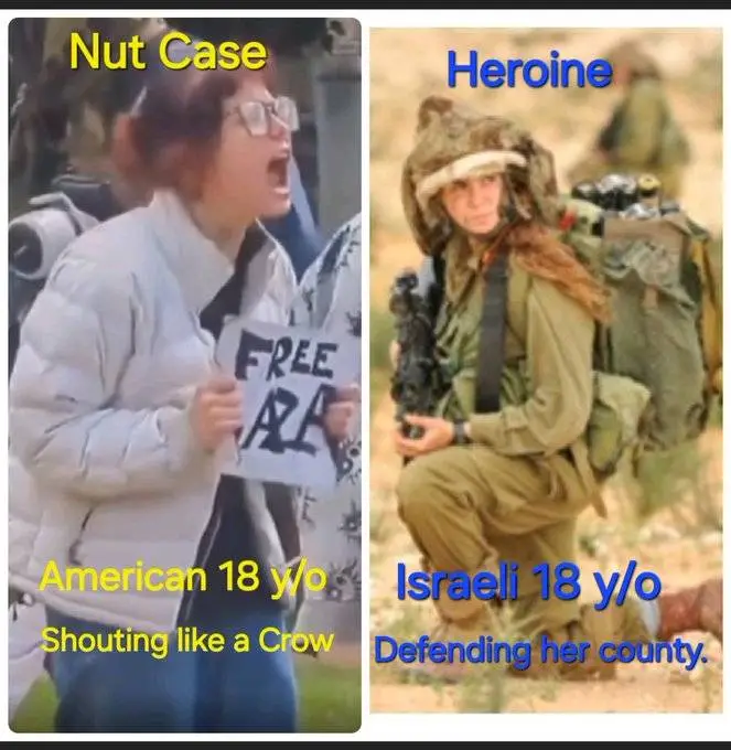 1000006331-jpg.1064448