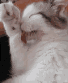 1000008175.gif