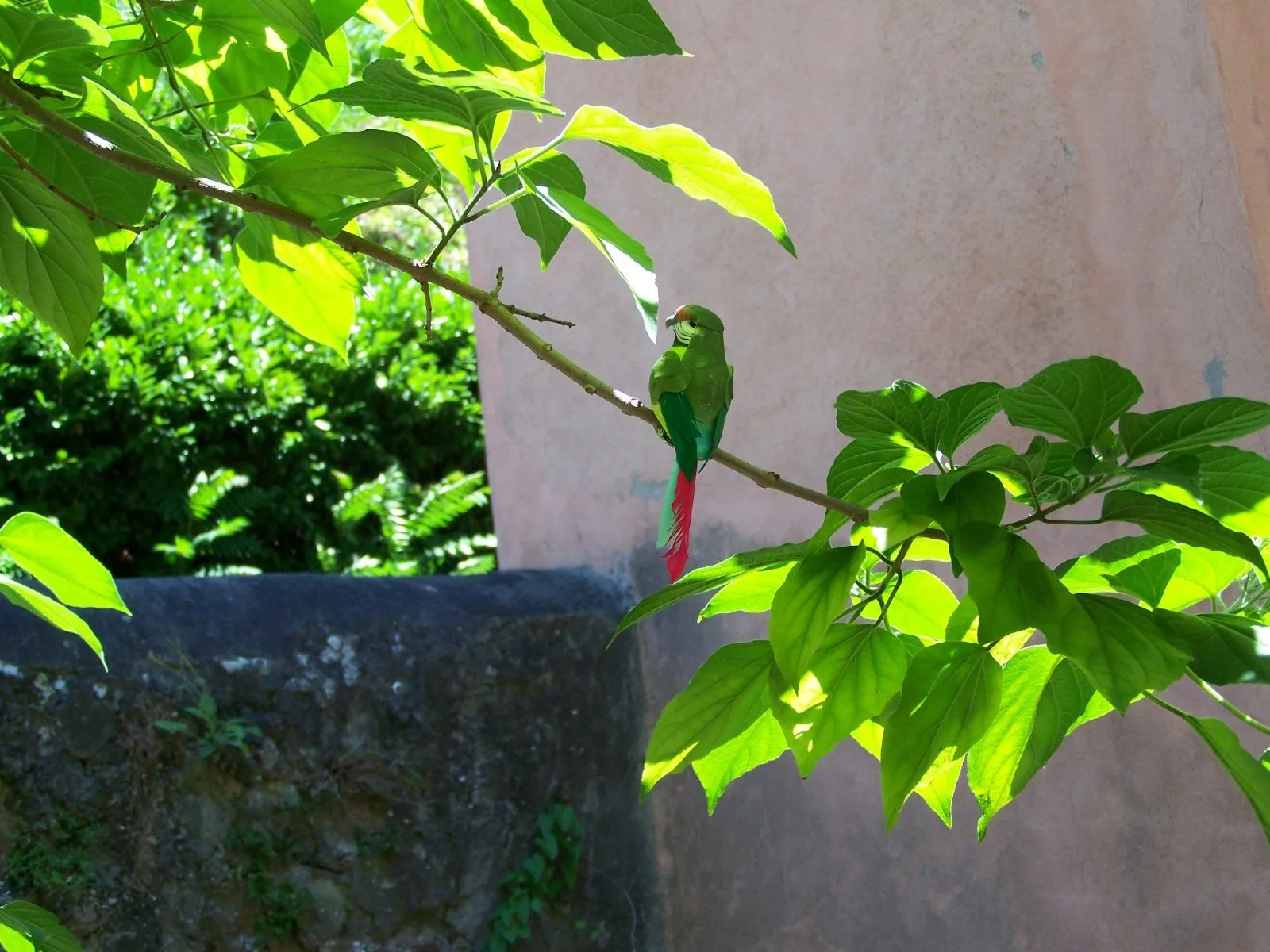 100_0752.webp
