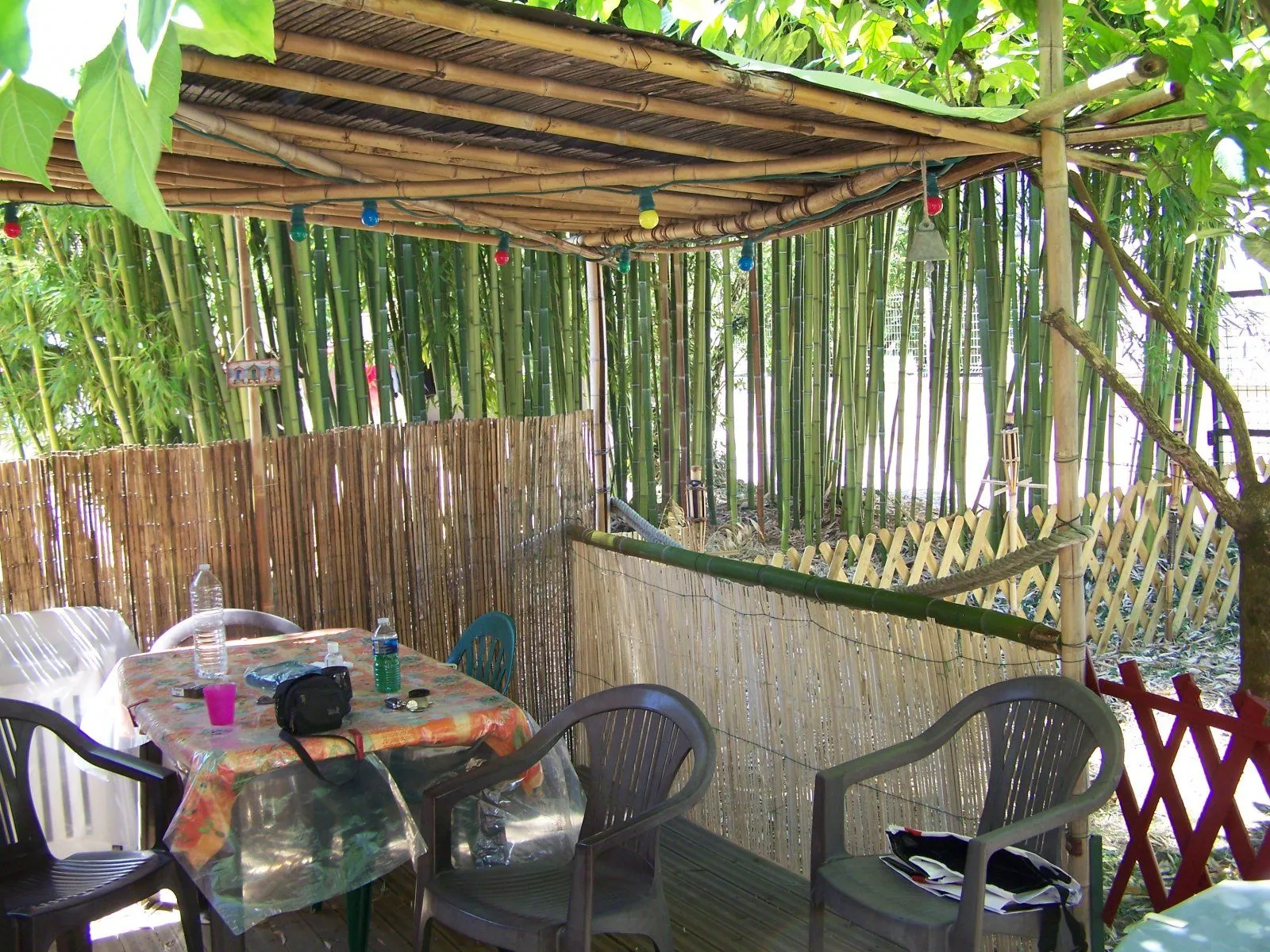 100_0762.webp
