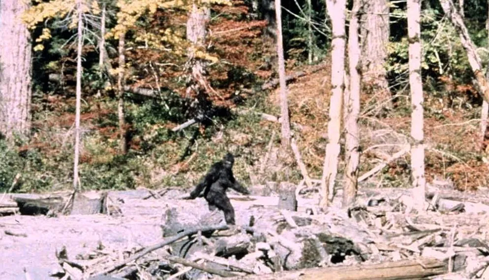 10534773_web1_180209-iss-leg-bigfoot.webp