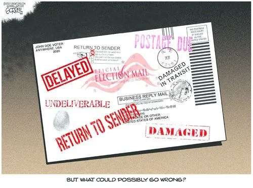 117727415_3360410443997410_5011915554081010246_n (1).webp