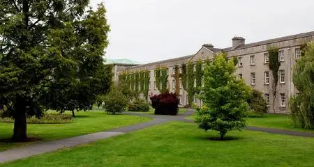 12 NEWS II St Patricks _3.webp