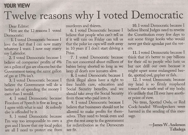 12reasonsvoteDem.webp