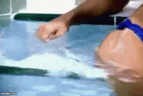 13.gif