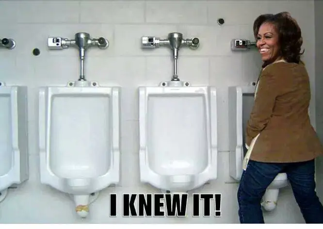 13087837_628636553954784_6356897m obama 583055354373_n.webp