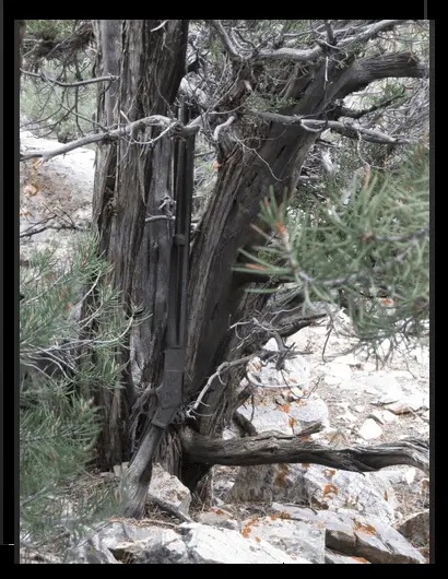 132winchester.webp