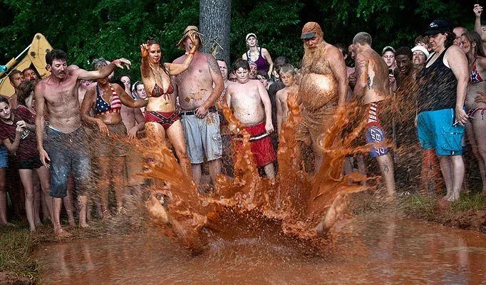 1342409.main_image.webp