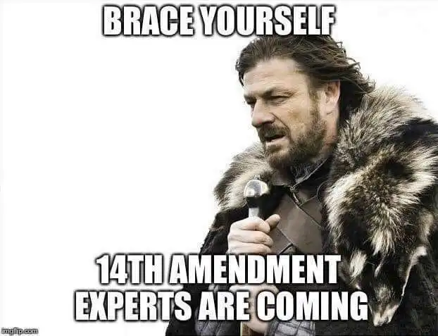 14thAmendmentBrace.webp