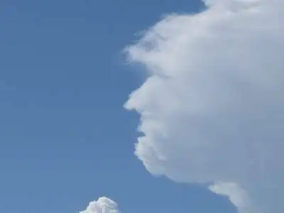 1585848349156.webp