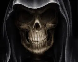 1586211308692.webp