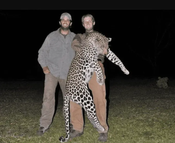 1586296260227.webp