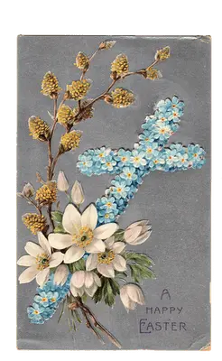 1586737122081.webp