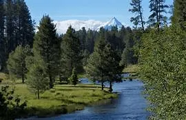 1586986235131.webp