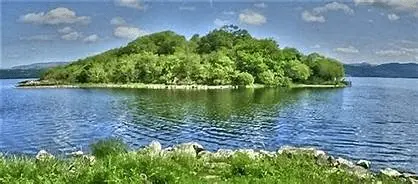 1587534417669.webp