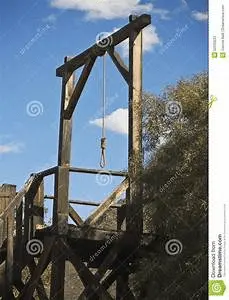 1587920229033.webp