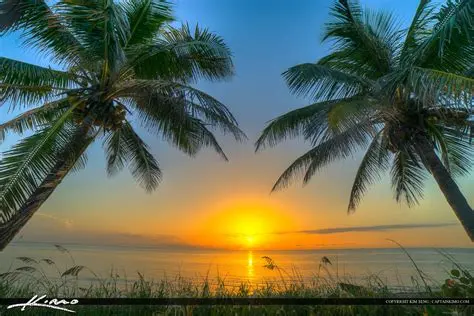 1588096838725.webp