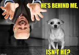 politics joe biden Memes & GIFs - Imgflip