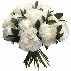 1590484711455.webp