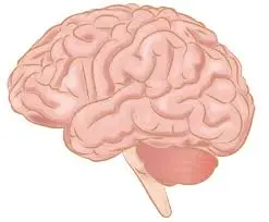 1590750381421.webp