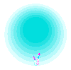 1591316645048.gif